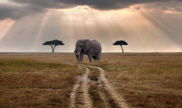 Marsabit National Park