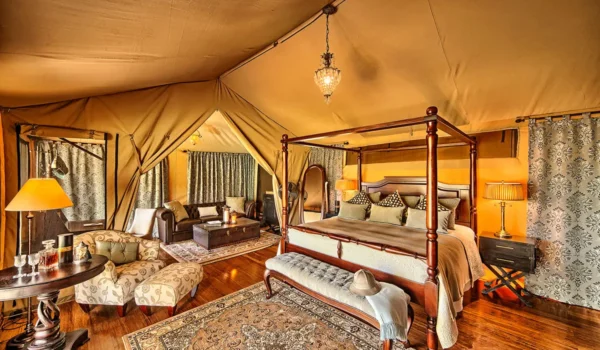 Masai Mara Luxury Safari