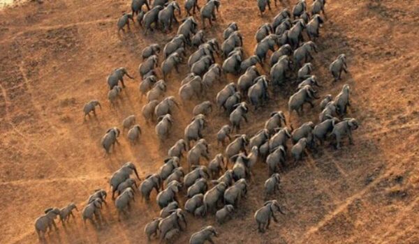 National Parks In South Sudan