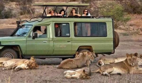 Queen Elizabeth National Park Safari