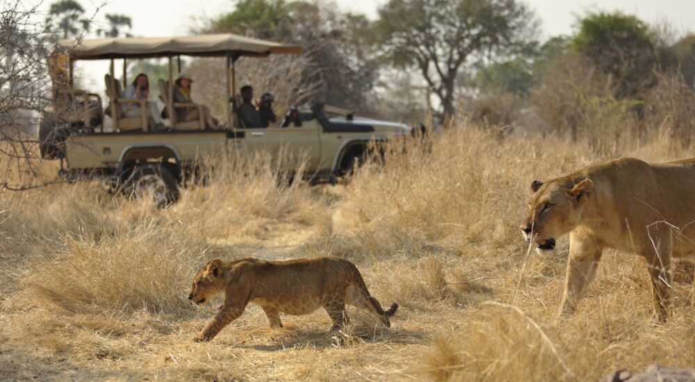 Ruaha National Park