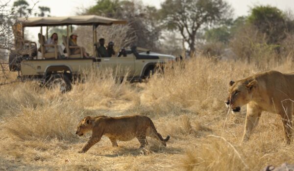 Ruaha National Park