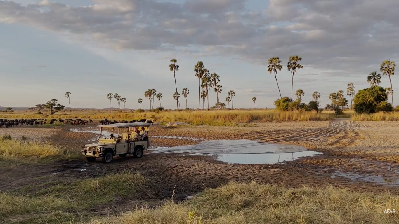 Nyerere national park