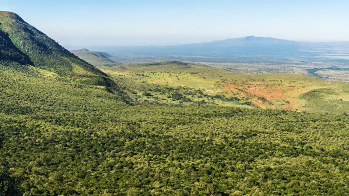 The Rift valley