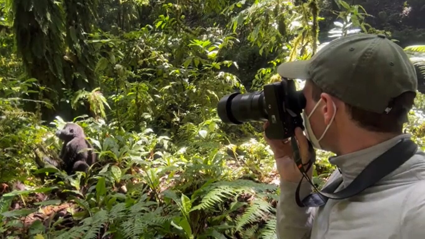 Gorilla trekking tips