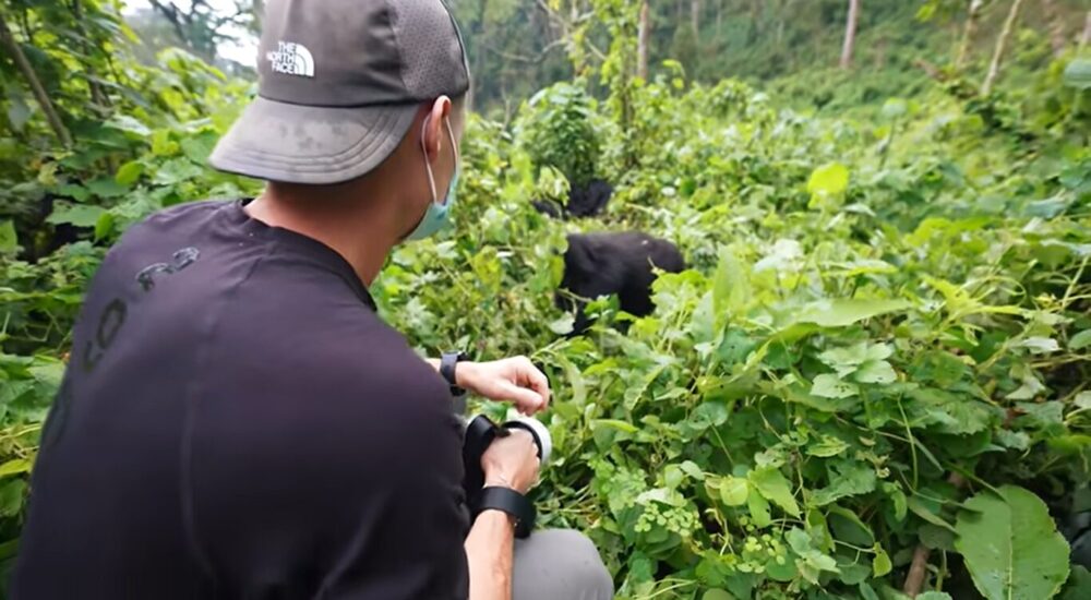 Gorilla Trekking Africa