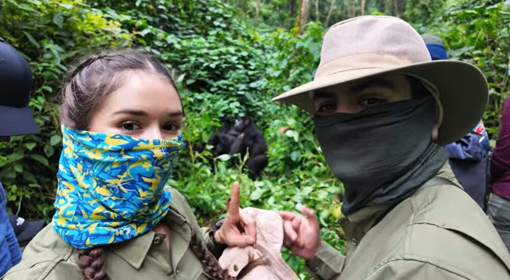 Honeymoon Gorilla Tours