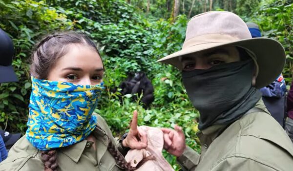 Honeymoon Gorilla Tours