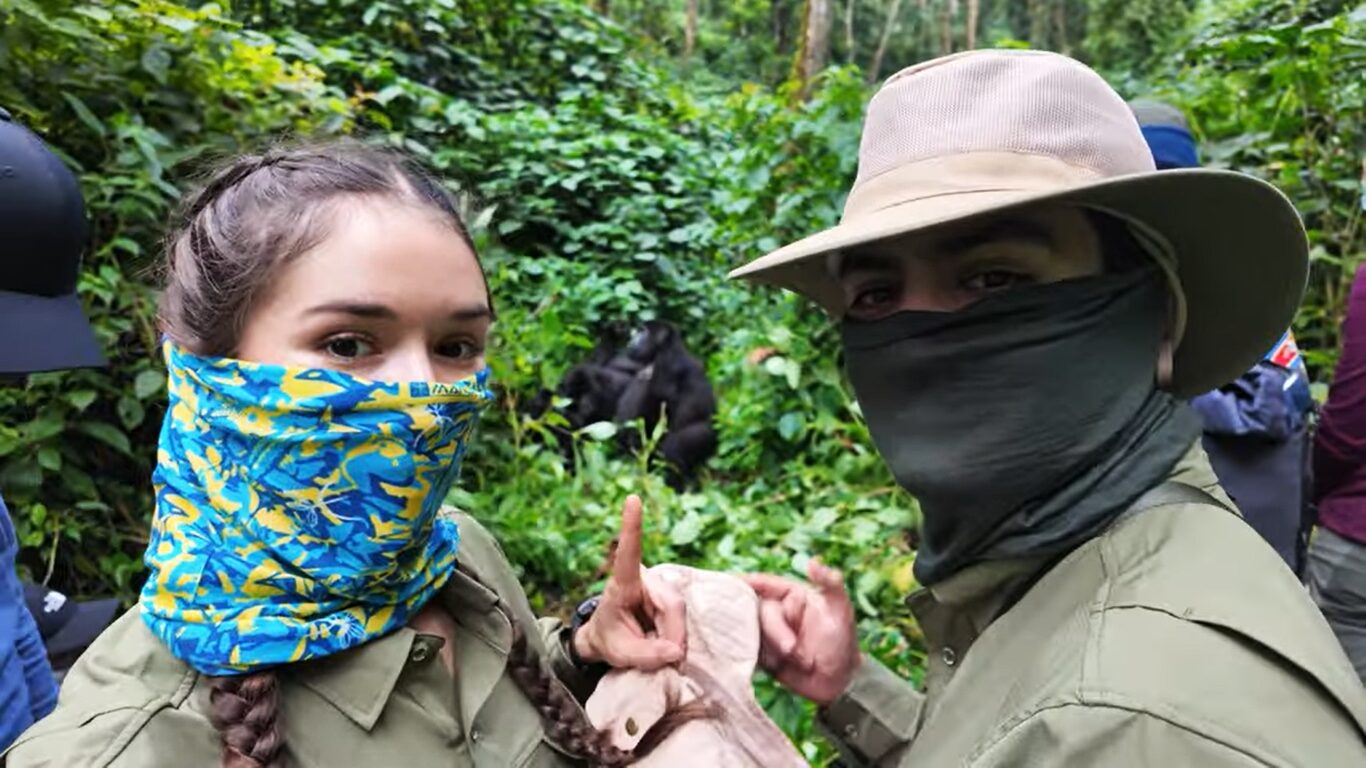 Honeymoon gorilla tours