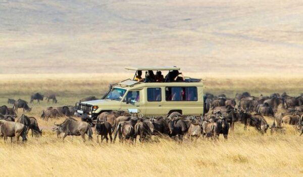 Serengeti National Park