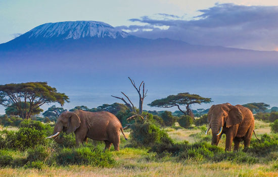 The Best Time To Visit Tanzania