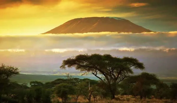 Top Highest Mountains In Africa