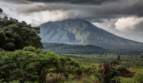 Virunga National Park Congo