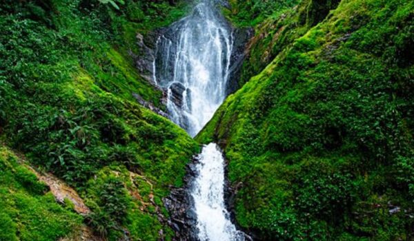 Waterfall Trail In Nyungwe Forest