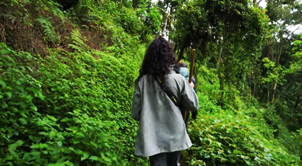 What To Pack For A Gorilla Trek