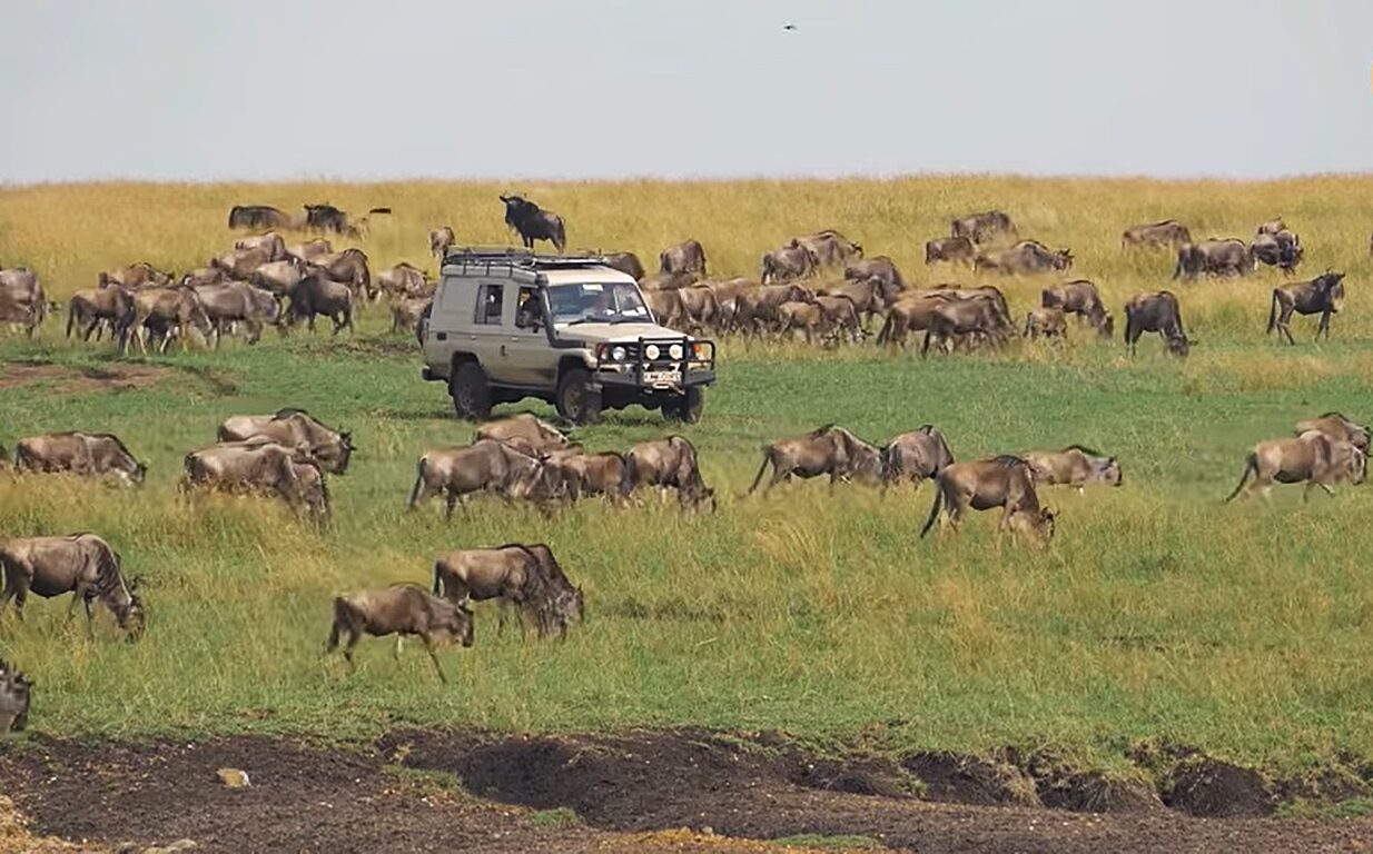 Honeymoon destinations