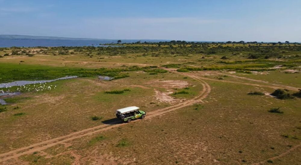 Which East African Country Has The Best Safari?