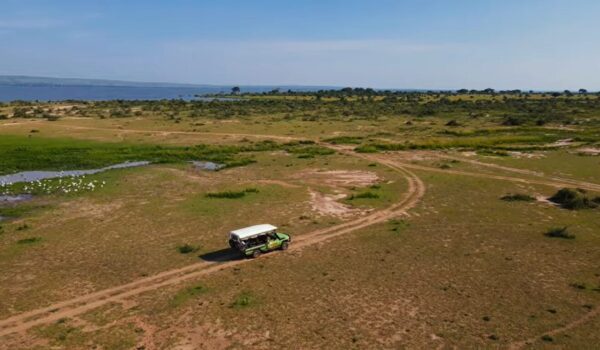 Which East African Country Has The Best Safari?