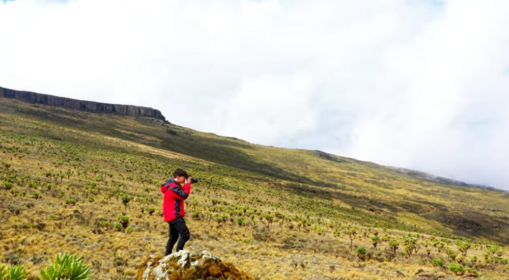 African Safaris For Solo Travelers