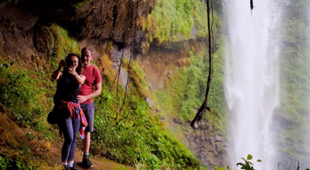 African Safari Adventures For Wildlife Lovers