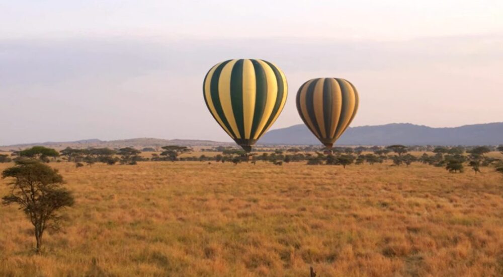 Best African Safari Destinations By Season