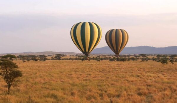 Best African Safari Destinations By Season