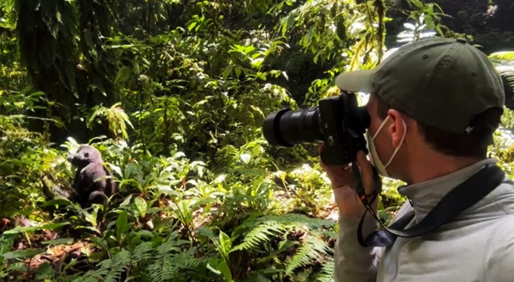 Gorilla Trekking Experiences For Wildlife Photographers