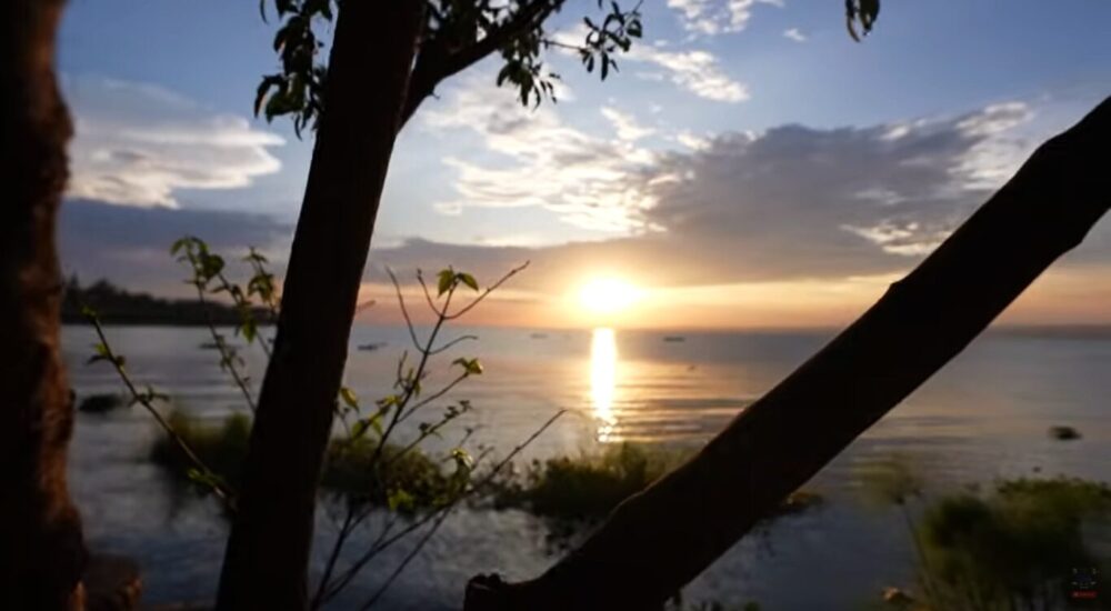 African Safari Travel Trends Every Traveler Should Know