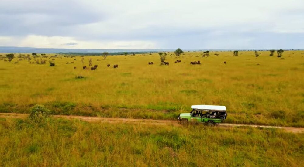 African Safari Road Trips Explained