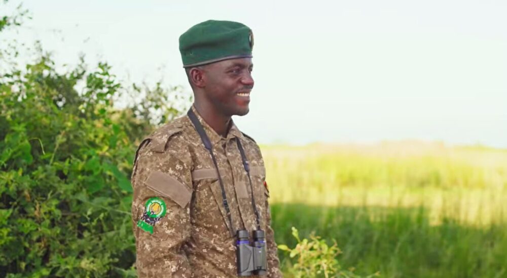 African Safari Travel Safety Tips