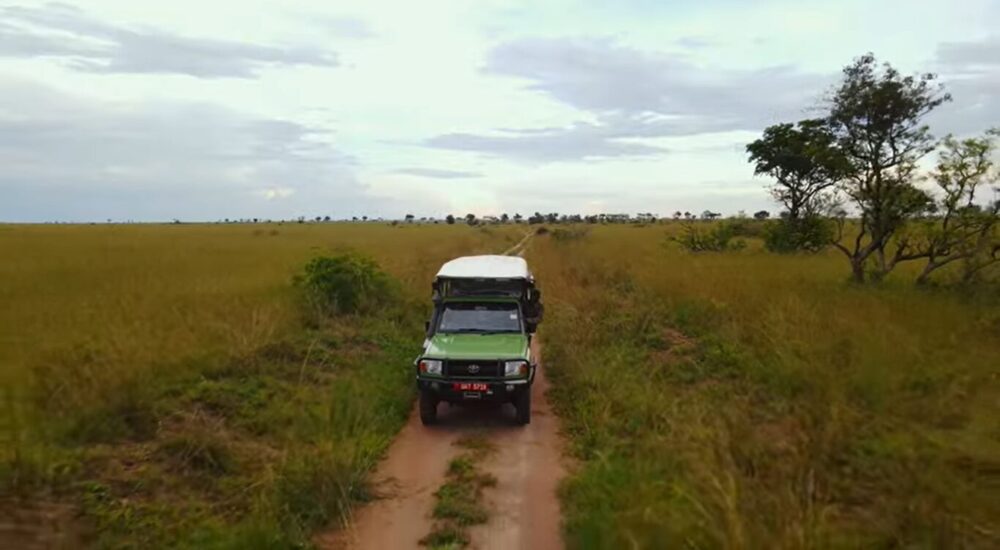 African Safari Vs Other Wildlife Holidays: What Makes Them Unique