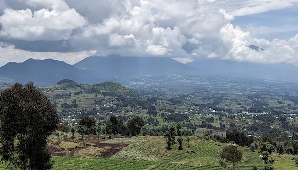 Gorilla Trekking Rwanda Travel Tips