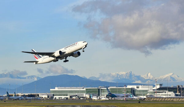 Flights From The USA To Africa For Safari: Best Routes & Airlines