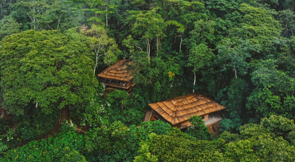 Most Exclusive Gorilla Trekking Lodges Africa | Monumental Expeditions And Safaris