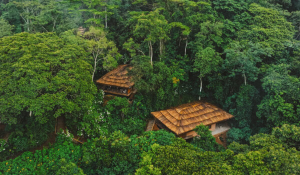 Most Exclusive Gorilla Trekking Lodges Africa | Monumental Expeditions And Safaris