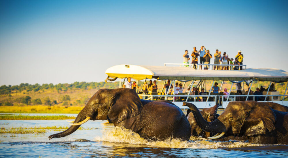 African Safari River Adventures And Boat Safaris