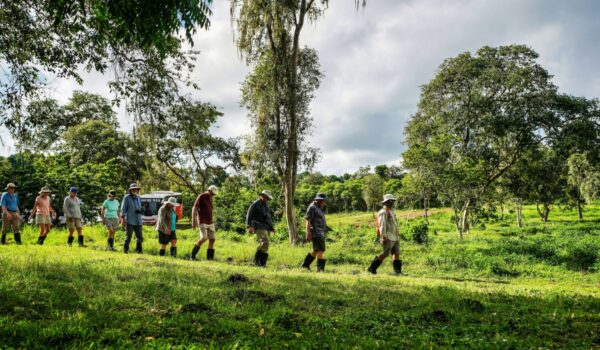Bwindi Community Walk