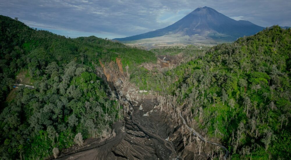 Volcanoes Rwanda Guide