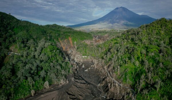 Volcanoes Rwanda Guide
