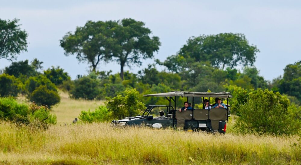 Family Safari Uganda