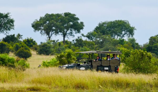 Family Safari Uganda