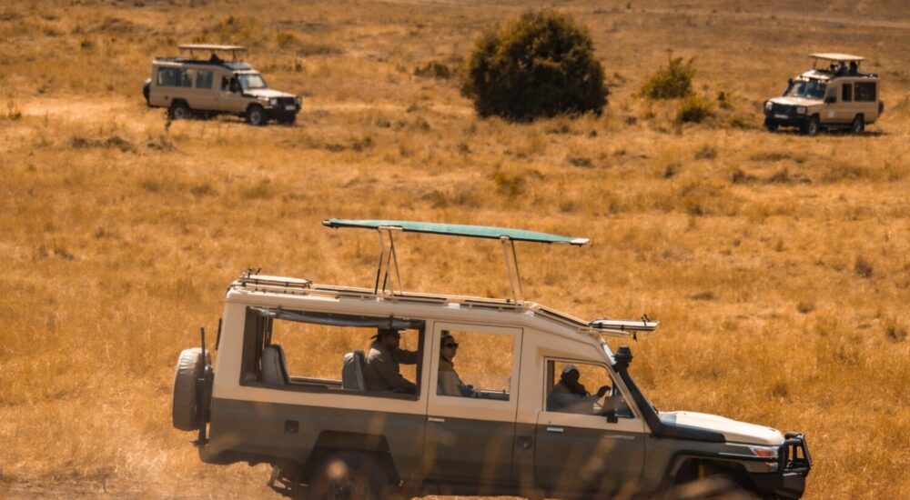 Uganda Group Safari