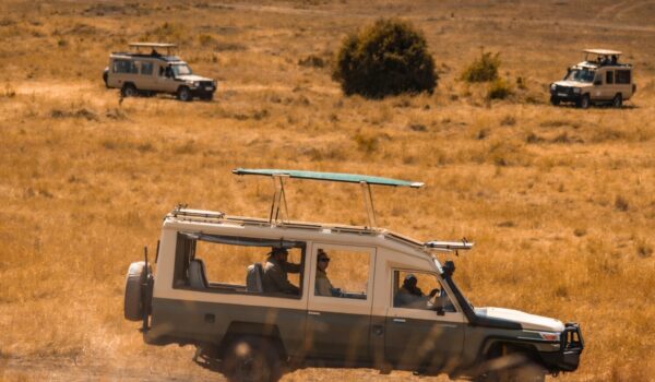 Uganda Group Safari
