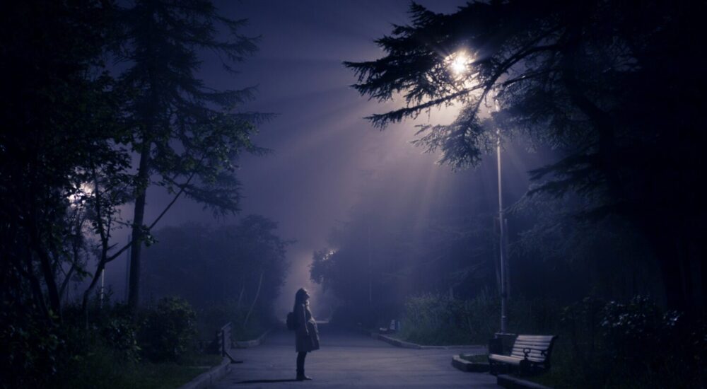Bwindi Forest Night Walks
