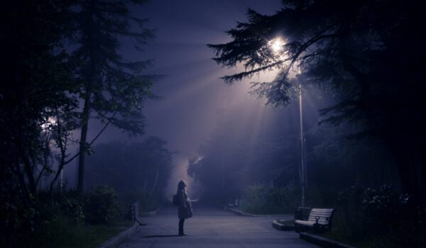 Bwindi Forest Night Walks