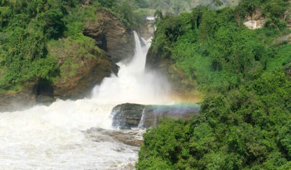 North Uganda Safari