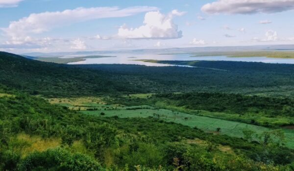 First-time Visitor’s Guide To Rwanda