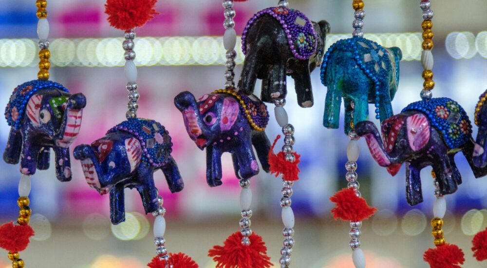 Safari Traveler Gifts
