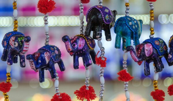 Safari Traveler Gifts