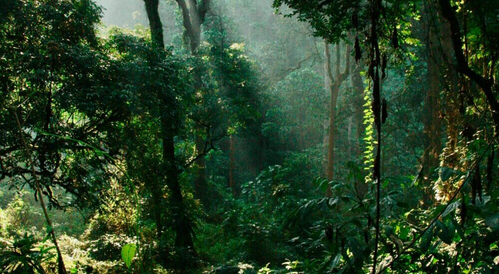 Uganda Adventure Safari